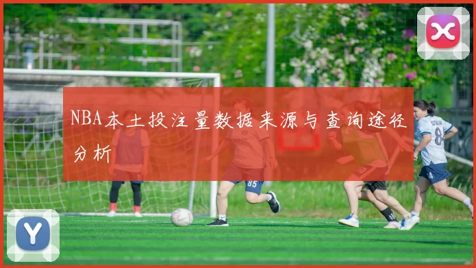 NBA本土投注量数据来源与查询途径分析