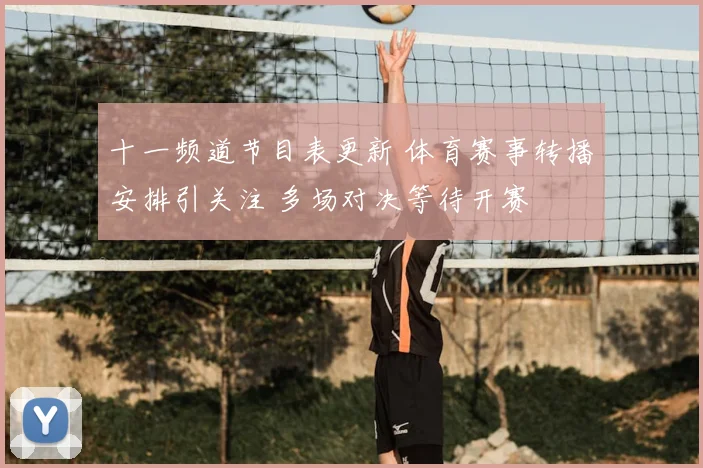 十一频道节目表更新 体育赛事转播安排引关注 多场对决等待开赛