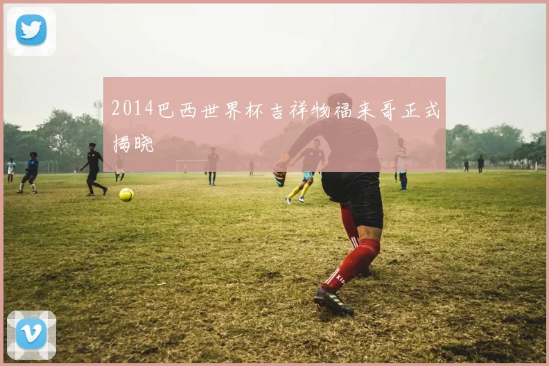 2014巴西世界杯吉祥物福来哥正式揭晓