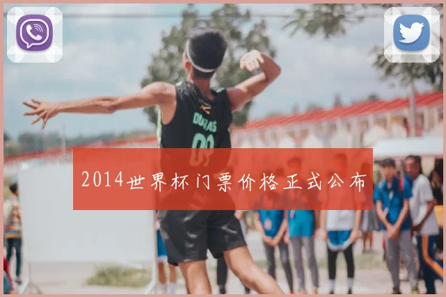 2014世界杯门票价格正式公布