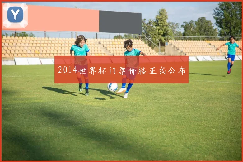 2014世界杯门票价格正式公布