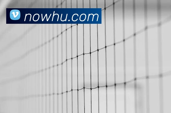 足球世界杯官网中文版平台生态图